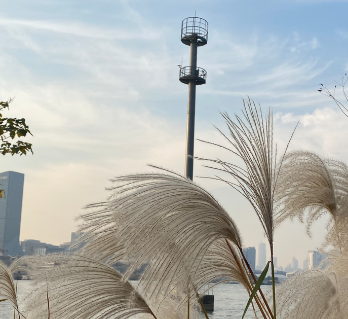 renjiaershao001