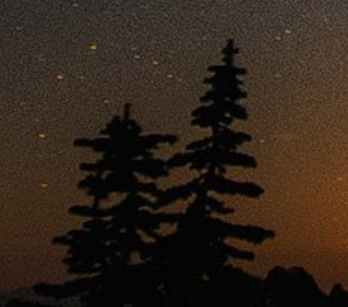 allen_hjs2213